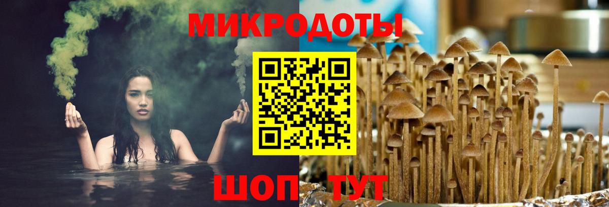Галлюциногенные грибы мухоморы  Галлюциногенные грибы Magic Shrooms  Ногинск  Вход с VPN 
